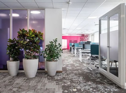 關(guān)注員工感受的辦公裝修設(shè)計空間是怎樣的——Bayer拜耳